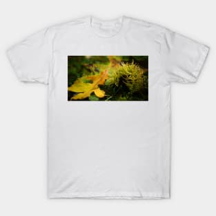 Bur Acorn with Autumn Leaves T-Shirt